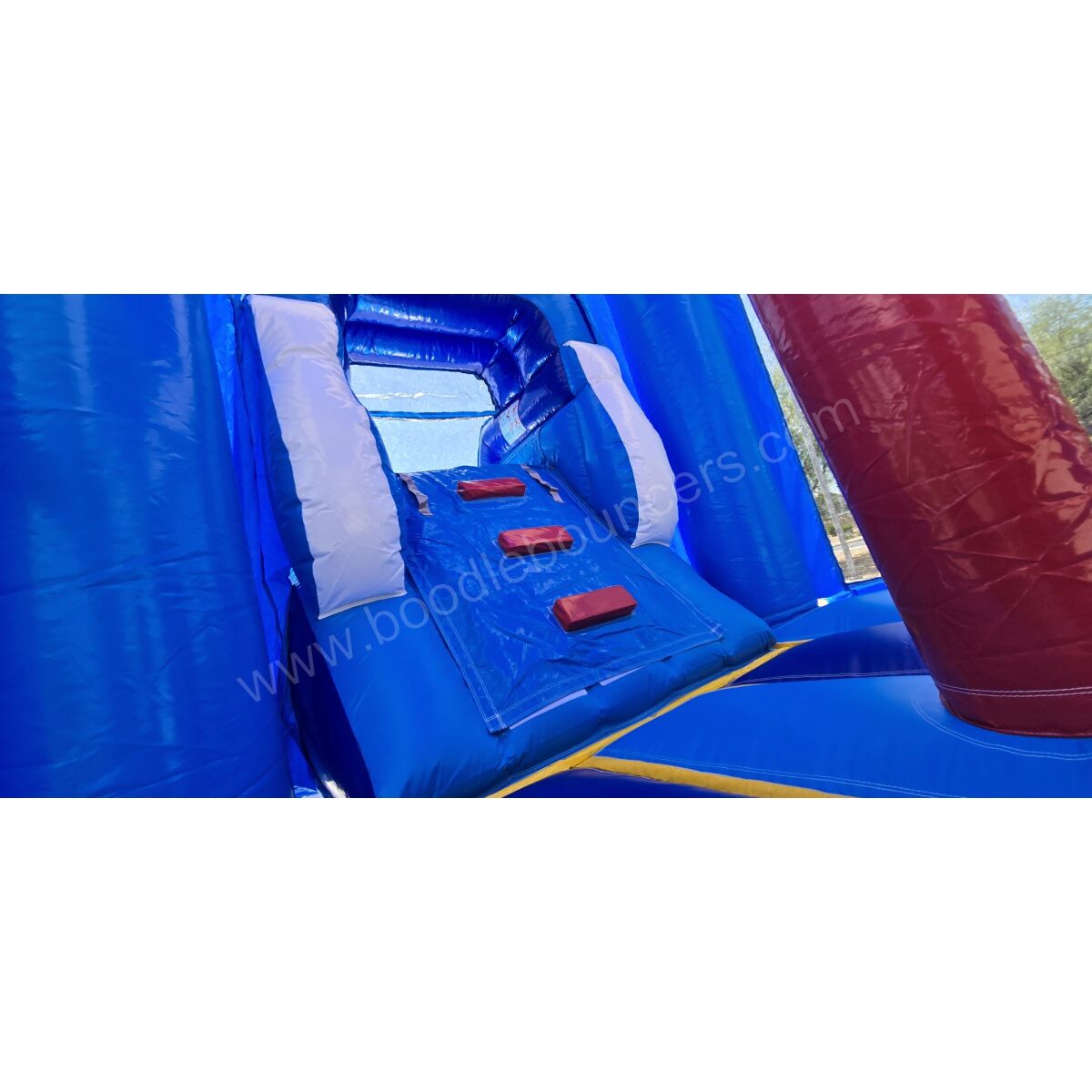Dolphin Combo - Boodle Bouncers